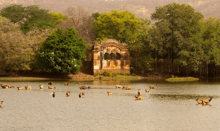 Delhi, Agra, Jaipur & Ranthambore Wildlife Tour Tour Package